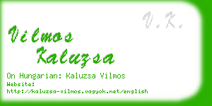 vilmos kaluzsa business card